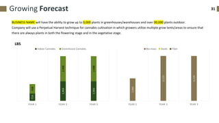 31Growing Forecast
LBS
BUSINESS NAME will have the ability to grow up to 0,000 plants in greenhouses/warehouses and over 00,000 plants outdoor.
Company will use a Perpetual Harvest technique for cannabis cultivation in which growers utilize multiple grow tents/areas to ensure that
there are always plants in both the flowering stage and in the vegetative stage.
3,060
6,120
6,120
YEAR 1 YEAR 2 YEAR 3
Bio-mass Seeds Fiber
714
1,904
1,904
918
2,448
2,448
YEAR 1 YEAR 2 YEAR 3
Indoor Cannabis Greenhouse Cannabis
 