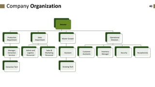 40Company Organization
Director
Production
Department
Manager,
Extraction
Services
Extraction Tech
Sales
Department
Admin and
Logistics
Personnel
Sales &
Marketing
Personnel
Master Grower
Assistant
Growing Tech
Operational
Directors
Customer
Assistants
Inventory
Manager
Security Receptionists
 