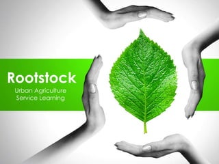 Rootstock
 Urban Agriculture
 Service Learning
 