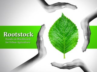 Rootstock
Hands-on Blackboard
 Hands-on Blackboard
 for Urban Agriculture
 