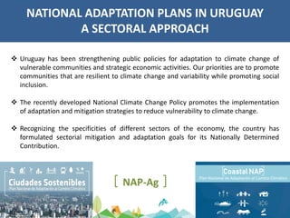  Uruguay has been strengthening public policies for adaptation to climate change of
vulnerable communities and strategic economic activities. Our priorities are to promote
communities that are resilient to climate change and variability while promoting social
inclusion.
 The recently developed National Climate Change Policy promotes the implementation
of adaptation and mitigation strategies to reduce vulnerability to climate change.
 Recognizing the specificities of different sectors of the economy, the country has
formulated sectorial mitigation and adaptation goals for its Nationally Determined
Contribution.
NATIONAL ADAPTATION PLANS IN URUGUAY
A SECTORAL APPROACH
Coastal NAP
Plan Nacional de Adaptación al Cambio Climático
NAP-Ag
 