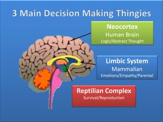 Neocortex
Human Brain
Logic/Abstract Thought
Limbic System
Mammalian
Emotions/Empathy/Parental
Reptilian Complex
Survival/Reproduction
 