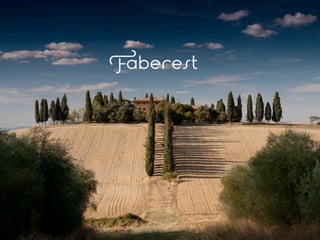 Pitch ita faberest