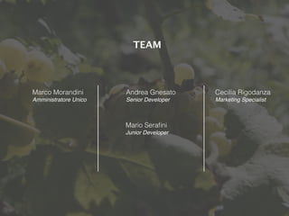 Marco Morandini
Amministratore Unico
TEAM
Mario Seraﬁni
Junior Developer
Andrea Gnesato
Senior Developer
Cecilia Rigodanza
Marketing Specialist
 