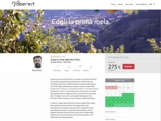 Pitch ita faberest