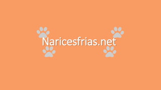 Naricesfrias.net
 