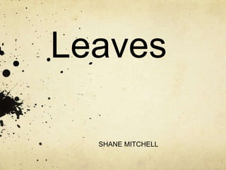 Leaves
SHANE MITCHELL

 