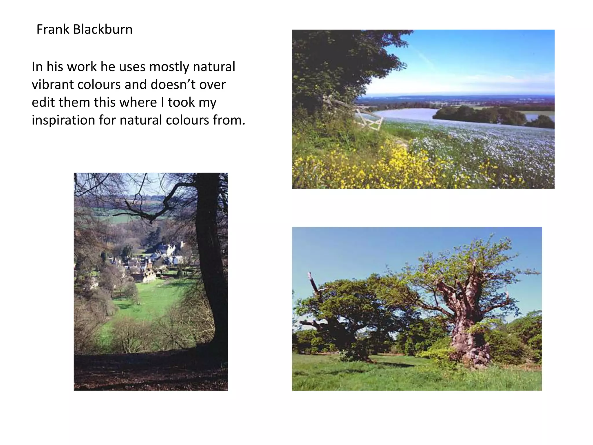 Frank Blackburn
In his work he uses mostly natural
vibrant colours and doesn’t over
edit them this where I took my
inspiration for natural colours from.