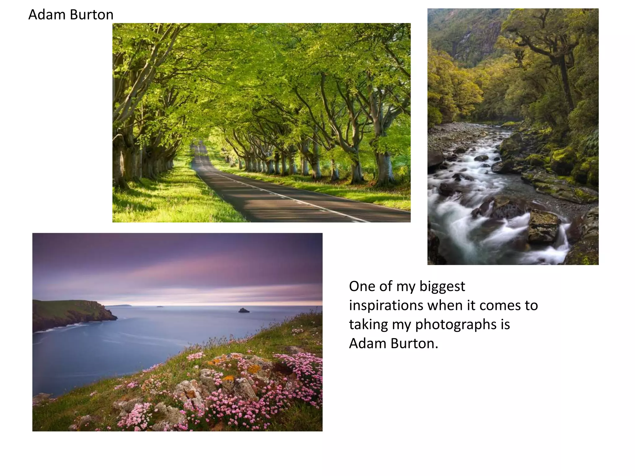 Adam Burton
One of my biggest
inspirations when it comes to
taking my photographs is
Adam Burton.