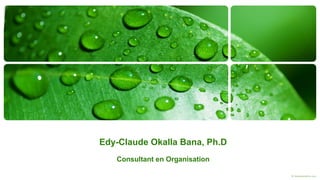Edy-Claude Okalla Bana, Ph.D Consultant en Organisation 