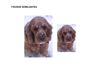 FIGURAS SEMEJANTES
 