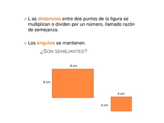 Pitágoras. Semejanza de triángulos