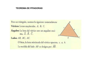 TEOREMA DE PITAGORAS
 
