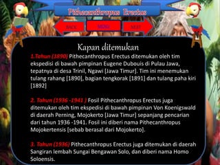 Manusia Purba Pithecanthropus | PPTX
