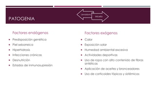 PATOGENIA 
Factores endógenos 
 Predisposición genética 
 Piel seborreica 
 Hiperhidrosis 
 Infecciones crónicas 
 Desnutrición 
 Estados de inmunosupresión 
Levadura 
Micelio 
Factores exógenos 
 Calor 
 Exposición solar 
 Humedad ambiental excesiva 
 Actividades deportivas 
 Uso de ropa con alto contenido de fibras 
sintéticas 
 Aplicación de aceites y bronceadores 
 Uso de corticoides tópicos y sistémicos 
 