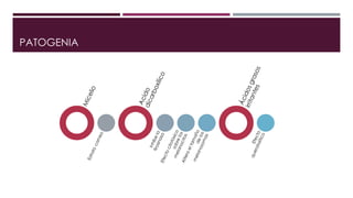 PATOGENIA 
 