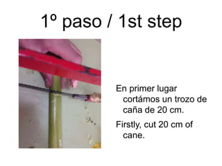 1º paso / 1st step
En primer lugar
cortámos un trozo de
caña de 20 cm.
Firstly, cut 20 cm of
cane.
 