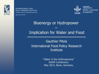 Bioenergy or Hydropower
–
Implication for Water and Food
Gauthier Pitois
International Food Policy Research
Institute
―Water in the Anthropocene‖
GWSP Conference
May 2013, Bonn, Germany
 