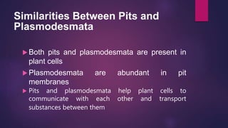 Similarities Between Pits and
Plasmodesmata
 Both pits and plasmodesmata are present in
plant cells
 Plasmodesmata are abundant in pit
membranes
 Pits and plasmodesmata help plant cells to
communicate with each other and transport
substances between them
 