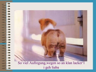 So viel Aufregung,wegen so an klan lacker‘l
                i geh liaba
 
