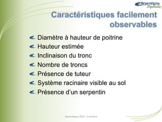 !
!
!
!
!
!
!

 Diamètre à hauteur de poitrine
 Hauteur estimée
 Inclinaison du tronc
 Nombre de troncs
 Présence de tuteur
 Système racinaire visible au sol
 Présence d’un serpentin

Géoma&que	
  2013	
  -­‐	
  3	
  octobre	
  

 