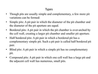 Types
• Though pits are usually simple and complementary, a few more pit
variations can be formed:
• Simple pits: A pit pair in which the diameter of the pit chamber and
the diameter of the pit aperture are equal.
• Bordered pits: A pit pair in which the pit chamber is over-arched by
the cell wall, creating a larger pit chamber and smaller pit aperture.
• Half bordered pits: A pit pair in which a bordered pit has a
complementary simple pit. Such a pit pair is called half bordered pit
pair.
• Blind pits: A pit pair in which a simple pit has no complementary
pit.
• Compound pits: A pit pair in which one cell wall has a large pit and
the adjacent cell wall has numerous, small pits.
 