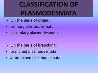 CLASSIFICATION OF
PLASMODESMATA
 On the basis of origin:
• primary plasmodesmata
• secondary plasmodesmata
 On the basis of branching:
• branched plasmodesmata
• Unbranched plasmodesmata
 