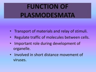 FUNCTION OF
PLASMODESMATA
• Transport of materials and relay of stimuli.
• Regulate traffic of molecules between cells.
• Important role during development of
organelle.
• Involved in short distance movement of
viruses.
 