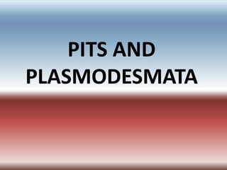 PITS AND
PLASMODESMATA
 