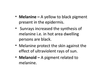 • Melanine – A yellow to black pigment
present in the epidermis.
• Sunrays increased the synthesis of
melanine i.e. in hot area dwelling
persons are black.
• Melanine protect the skin against the
effect of ultraviolent rays of sun.
• Melanoid – A pigment related to
melanine.
 
