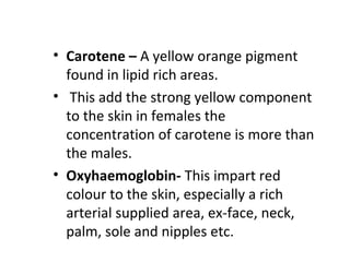 • Carotene – A yellow orange pigment
found in lipid rich areas.
• This add the strong yellow component
to the skin in females the
concentration of carotene is more than
the males.
• Oxyhaemoglobin- This impart red
colour to the skin, especially a rich
arterial supplied area, ex-face, neck,
palm, sole and nipples etc.
 
