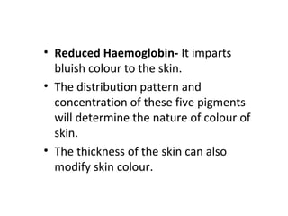 • Reduced Haemoglobin- It imparts
bluish colour to the skin.
• The distribution pattern and
concentration of these five pigments
will determine the nature of colour of
skin.
• The thickness of the skin can also
modify skin colour.
 