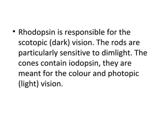 • Rhodopsin is responsible for the
scotopic (dark) vision. The rods are
particularly sensitive to dimlight. The
cones contain iodopsin, they are
meant for the colour and photopic
(light) vision.
 