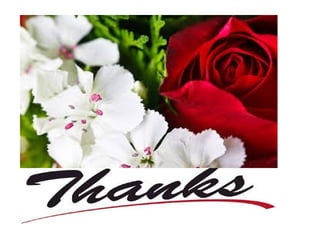 Introduction to Pitta Dosa in Ayurveda