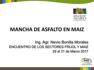 MANCHA DE ASFALTO EN MAIZ
Ing. Agr. Nevio Bonilla Morales
ENCUENTRO DE LOS SECTORES FRIJOL Y MAIZ
29 al 31 de Marzo 2017
 