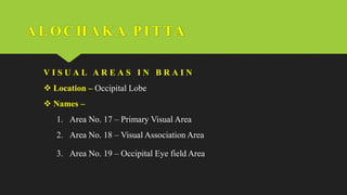 ALOCHAKA PI TTA
V I S U A L A R E A S I N B R A I N
 Location – Occipital Lobe
 Names –
1. Area No. 17 – Primary Visual Area
2. Area No. 18 – Visual Association Area
3. Area No. 19 – Occipital Eye field Area
 