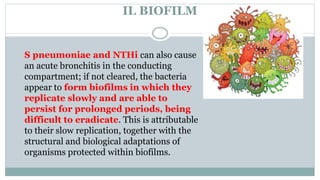 IL BIOFILM
 Their ability to remain in hostile environments has been linked to the
production of biofilm.
 A biofilm is ...