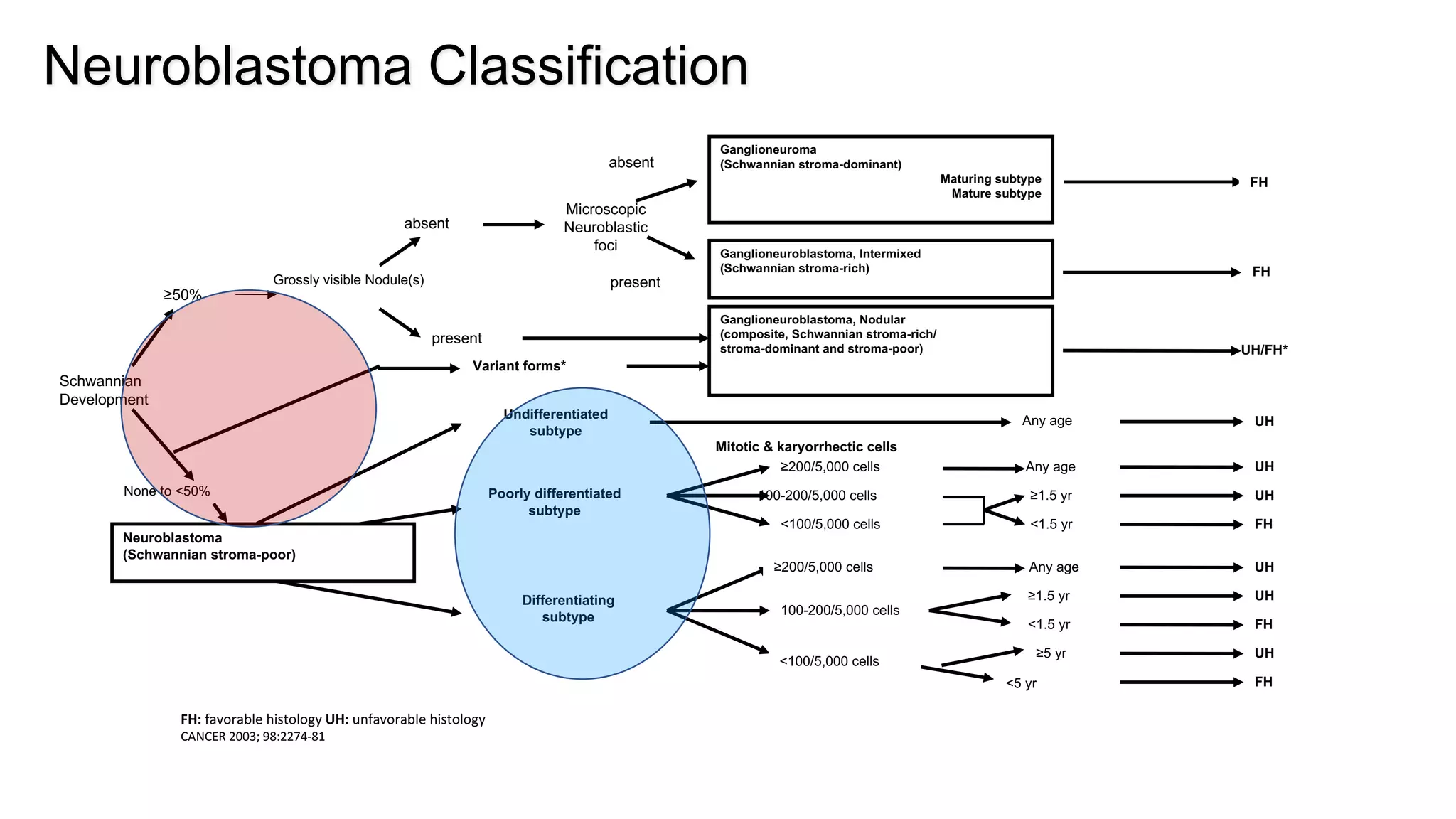 Shimada Classification Digital Pathology: Precision Medicine, Deep Learning and Computer Aided ...