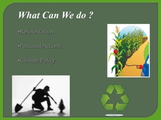 •Reforestation
•Personal Actions
•ClimatePolicy
What Can We do ?
 