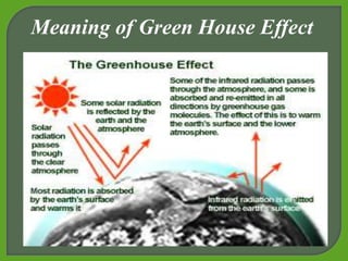 Meaning of Green House Effect
 