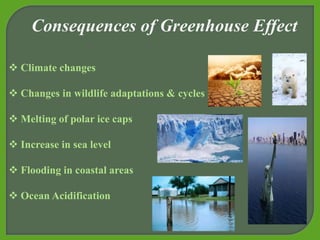  Climate changes
 Changes in wildlife adaptations & cycles
 Melting of polar ice caps
 Increase in sea level
 Flooding in coastal areas
 Ocean Acidification
Consequences of Greenhouse Effect
 