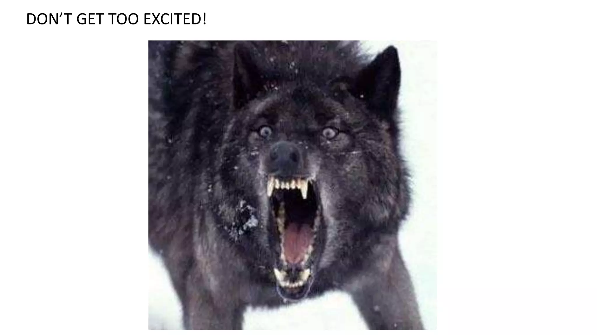 DON’T GET TOO EXCITED!
 