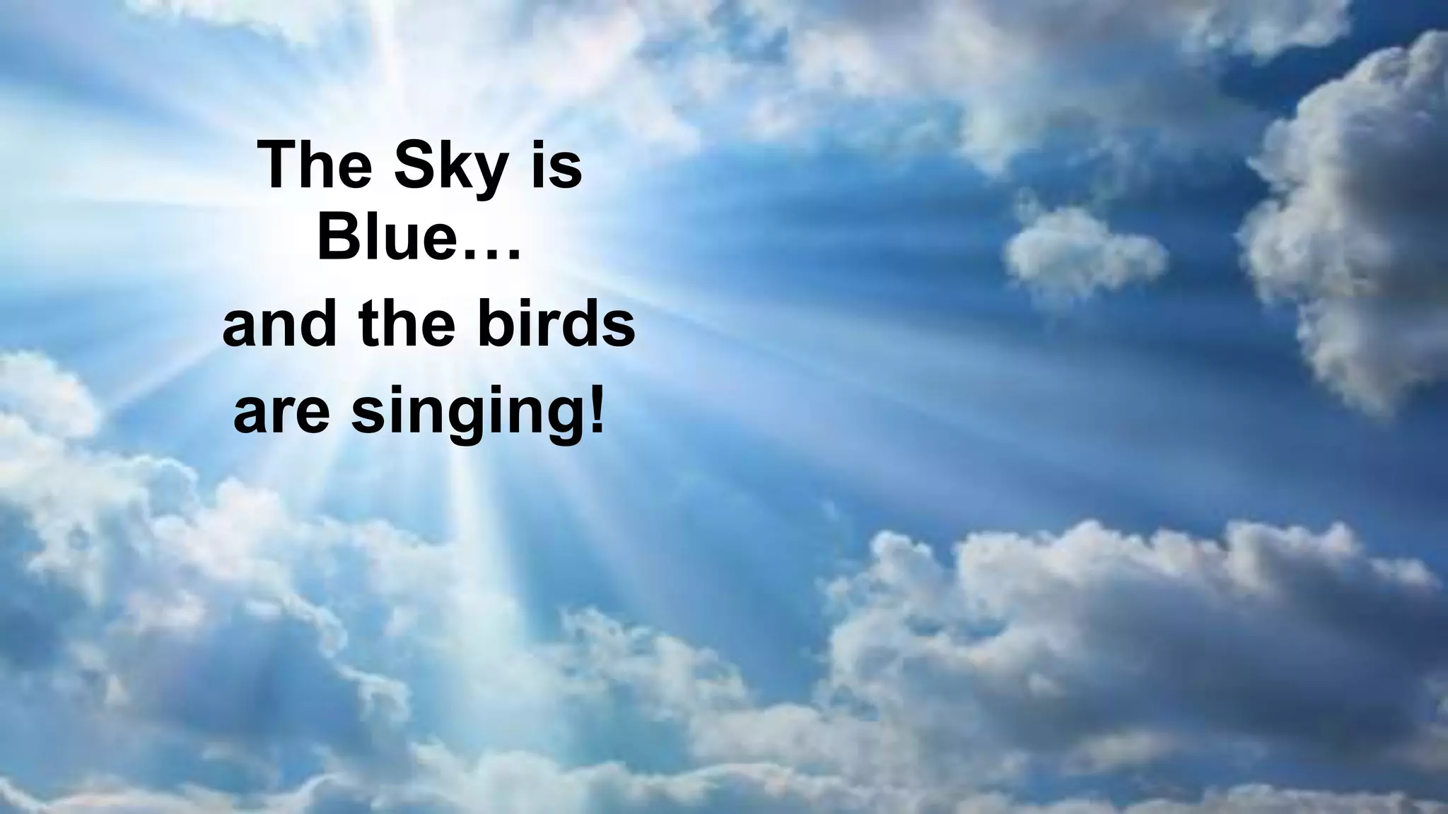 The Sky is
Blue…
and the birds
are singing!
 