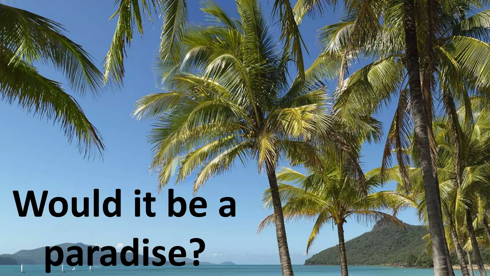 Would it be a
paradise?
 
