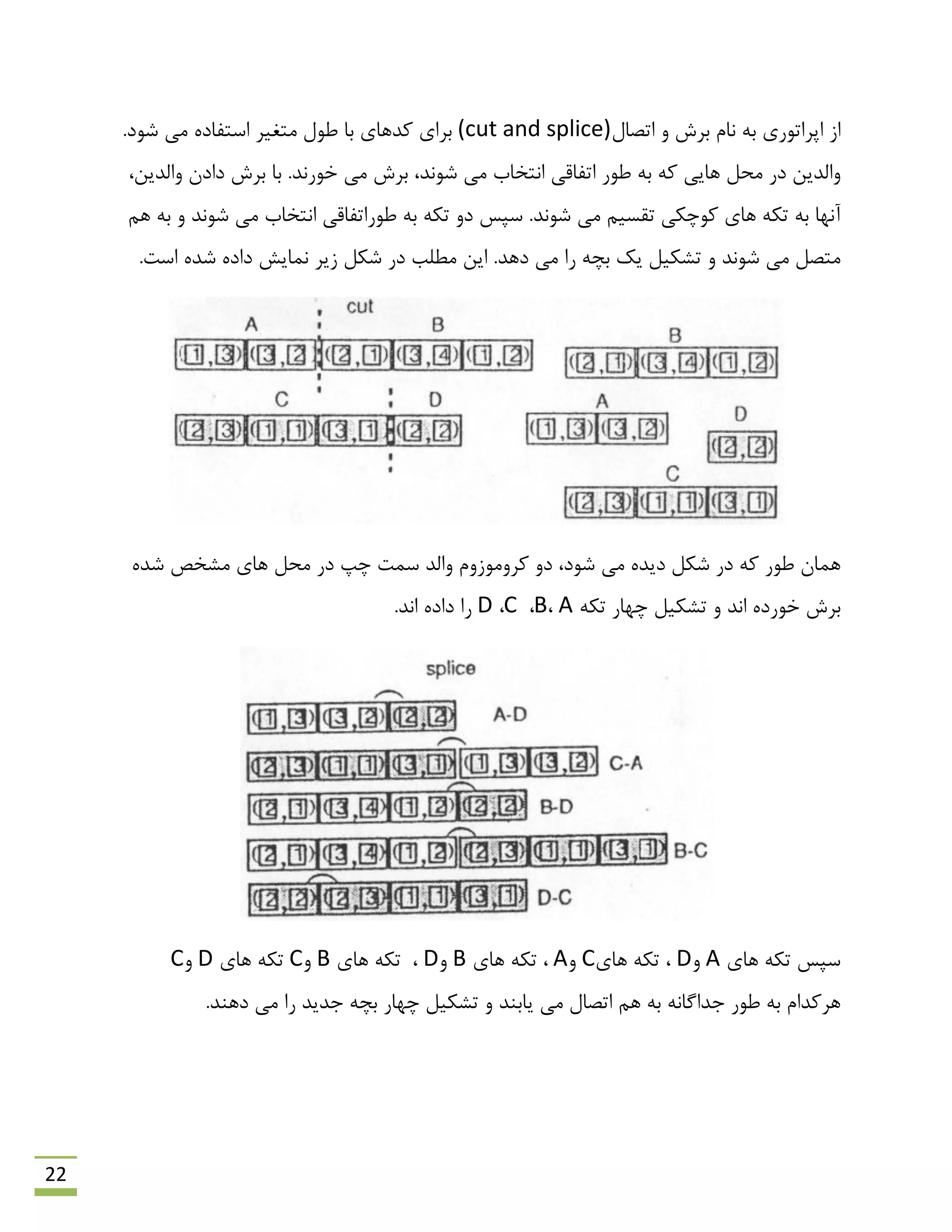 22
ٍ ‫ثشؽ‬ ‫ًبم‬ ِ‫ث‬ ‫اپشاتَسی‬ ‫اص‬‫اتلبل‬(cut and splice)‫هتغیش‬ ‫ًَل‬ ‫ثب‬ ‫وذّبی‬ ‫ثشای‬.‫ؿَد‬ ‫هی‬ ُ‫اػتفبد‬
‫ه‬ ‫دس‬ ‫ٍالذیي‬‫اتفبل‬ ‫ًَس‬ ِ‫ث‬ ِ‫و‬ ‫ّبیی‬ ‫حل‬،‫ٍالذیي‬ ‫دادى‬ ‫ثشؽ‬ ‫ثب‬ .‫خَسًذ‬ ‫هی‬ ‫ثشؽ‬ ،‫ؿًَذ‬ ‫هی‬ ‫اًتخبة‬ ‫ی‬
ِ‫ث‬ ‫آًْب‬ِ‫تى‬‫ؿًَذ‬ ‫هی‬ ‫تمؼین‬ ‫وَچىی‬ ‫ّبی‬‫ّن‬ ِ‫ث‬ ٍ ‫ؿًَذ‬ ‫هی‬ ‫اًتخبة‬ ‫ًَساتفبلی‬ ِ‫ث‬ ِ‫تى‬ ٍ‫د‬ ‫ػپغ‬ .
ٍ ‫ؿًَذ‬ ‫هی‬ ‫هتلل‬.‫دّذ‬ ‫هی‬ ‫سا‬ ِ‫ثچ‬ ‫یه‬ ‫تـىیل‬.‫اػت‬ ُ‫ؿذ‬ ُ‫داد‬ ‫ًوبیؾ‬ ‫صیش‬ ‫ؿىل‬ ‫دس‬ ‫هٌلت‬ ‫ایي‬
،‫ؿَد‬ ‫هی‬ ُ‫دیذ‬ ‫ؿىل‬ ‫دس‬ ِ‫و‬ ‫ًَس‬ ‫ّوبى‬ٍ‫د‬ُ‫ؿذ‬ ‫هـخق‬ ‫ّبی‬ ‫هحل‬ ‫دس‬ ‫چپ‬ ‫ػوت‬ ‫ٍالذ‬ ‫وشٍهَصٍم‬
ِ‫تى‬ ‫چْبس‬ ‫تـىیل‬ ٍ ‫اًذ‬ ُ‫خَسد‬ ‫ثشؽ‬A،B،C،D.‫اًذ‬ ُ‫داد‬ ‫سا‬
‫ّبی‬ ِ‫تى‬ ‫ػپغ‬AٍD‫ّبی‬ ِ‫تى‬ ،CٍA‫ّبی‬ ِ‫تى‬ ،BٍD،‫ّبی‬ ِ‫تى‬BٍC‫ّبی‬ ِ‫تى‬DٍC
.‫دٌّذ‬ ‫هی‬ ‫سا‬ ‫رذیذ‬ ِ‫ثچ‬ ‫چْبس‬ ‫تـىیل‬ ٍ ‫یبثٌذ‬ ‫هی‬ ‫اتلبل‬ ‫ّن‬ ِ‫ث‬ ًِ‫رذاگب‬ ‫ًَس‬ ِ‫ث‬ ‫ّشوذام‬
 