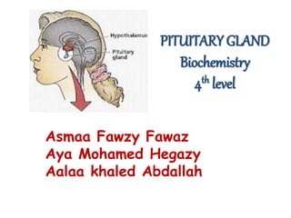 PITUITARY GLAND
Biochemistry
4th level
Asmaa Fawzy Fawaz
Aya Mohamed Hegazy
Aalaa khaled Abdallah
 