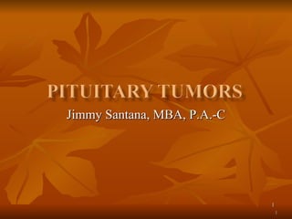 Jimmy Santana, MBA, P.A.-C 