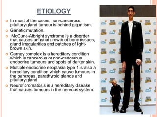 ETIOLOGY
 In most of the cases, non-cancerous
pituitary gland tumour is behind gigantism.
 Genetic mutation.
 McCune-Albright syndrome is a disorder
that causes unusual growth of bone tissues,
gland irregularities and patches of light-
brown skin.
 Carney complex is a hereditary condition
which is cancerous or non-cancerous
endocrine tumours and spots of darker skin.
 Multiple endocrine neoplasia type 1 is also a
hereditary condition which cause tumours in
the pancreas, parathyroid glands and
pituitary gland.
 Neurofibromatosis is a hereditary disease
that causes tumours in the nervous system.
 