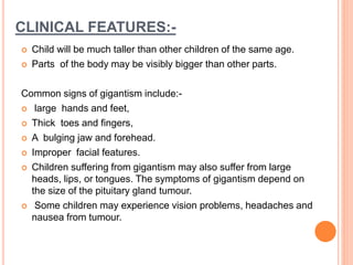 CLINICAL FEATURES:-
 Child will be much taller than other children of the same age.
 Parts of the body may be visibly bigger than other parts.
Common signs of gigantism include:-
 large hands and feet,
 Thick toes and fingers,
 A bulging jaw and forehead.
 Improper facial features.
 Children suffering from gigantism may also suffer from large
heads, lips, or tongues. The symptoms of gigantism depend on
the size of the pituitary gland tumour.
 Some children may experience vision problems, headaches and
nausea from tumour.
 