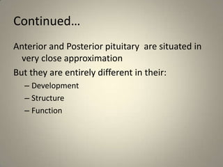 Continued…Anterior and Posterior pituitary  are situated in very close approximationBut they are entirely different in their:DevelopmentStructure Function 